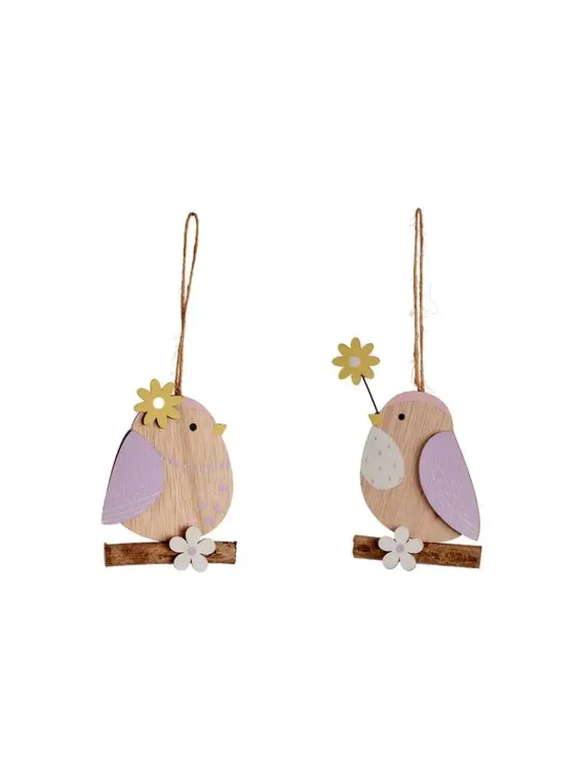 OISEAU SUR SA BRANCHE