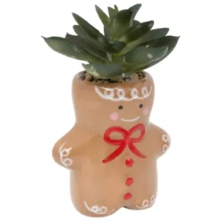 PLANTE POT NOEL H.11CM