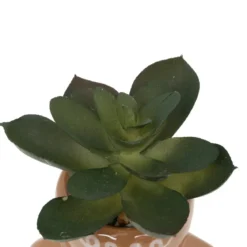 PLANTE POT NOEL H.11CM