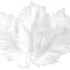 PLUMES BLANCHES 10 CM X 50 PCS