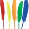 PLUMES NATURELLES INDIENNES 7 A 15CM X120 PIECES