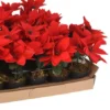 POINSETTIA ROUGE SYNTHETIQUE 17CM