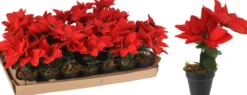 POINSETTIA ROUGE SYNTHETIQUE 17CM
