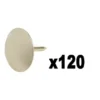 PUNAISE ACIER LAITONNE 120PCS