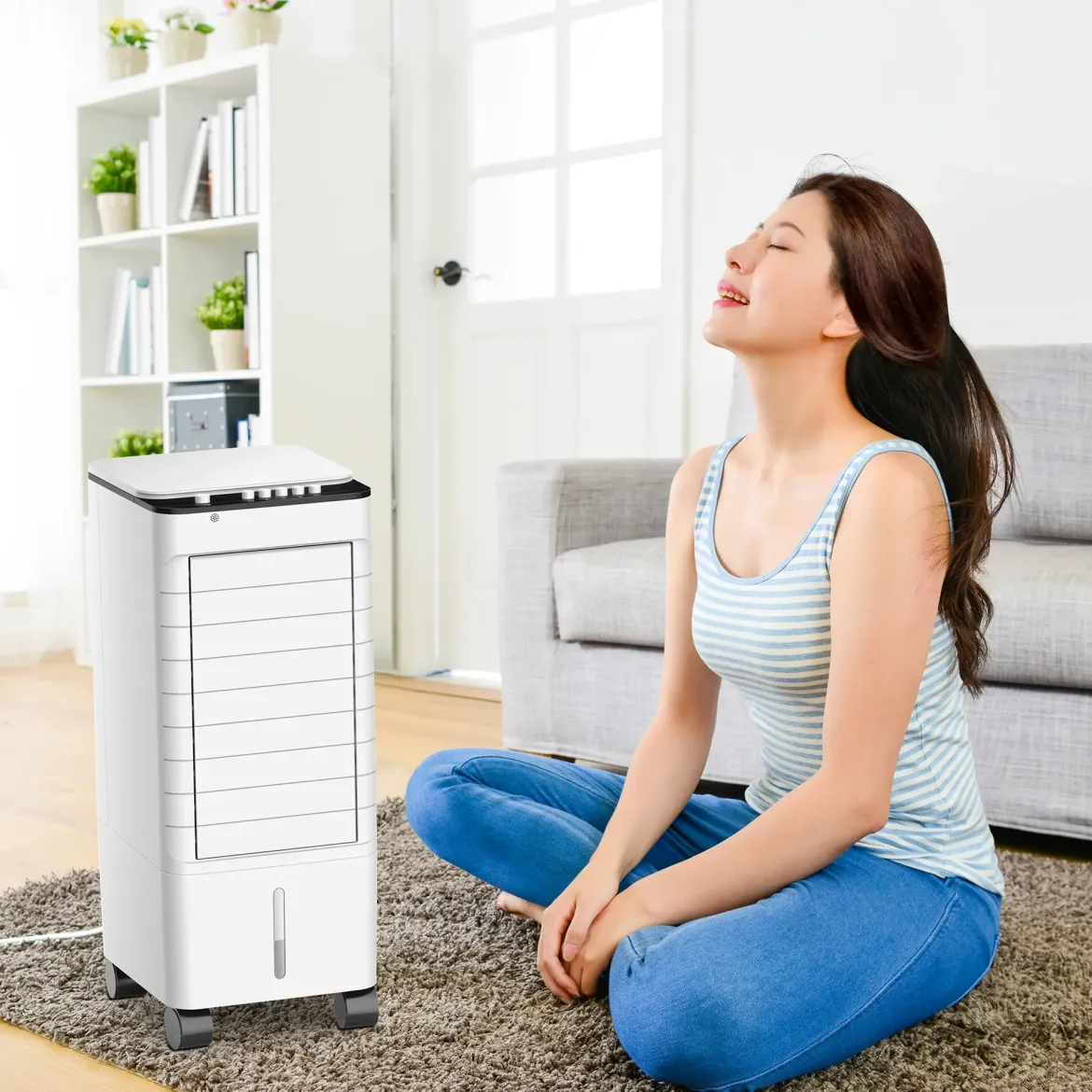 RAFRAICHISSEUR D AIR 65W 5L