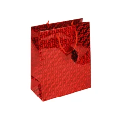 SAC CADEAU LASER D.17.8X22.9X9.8CM