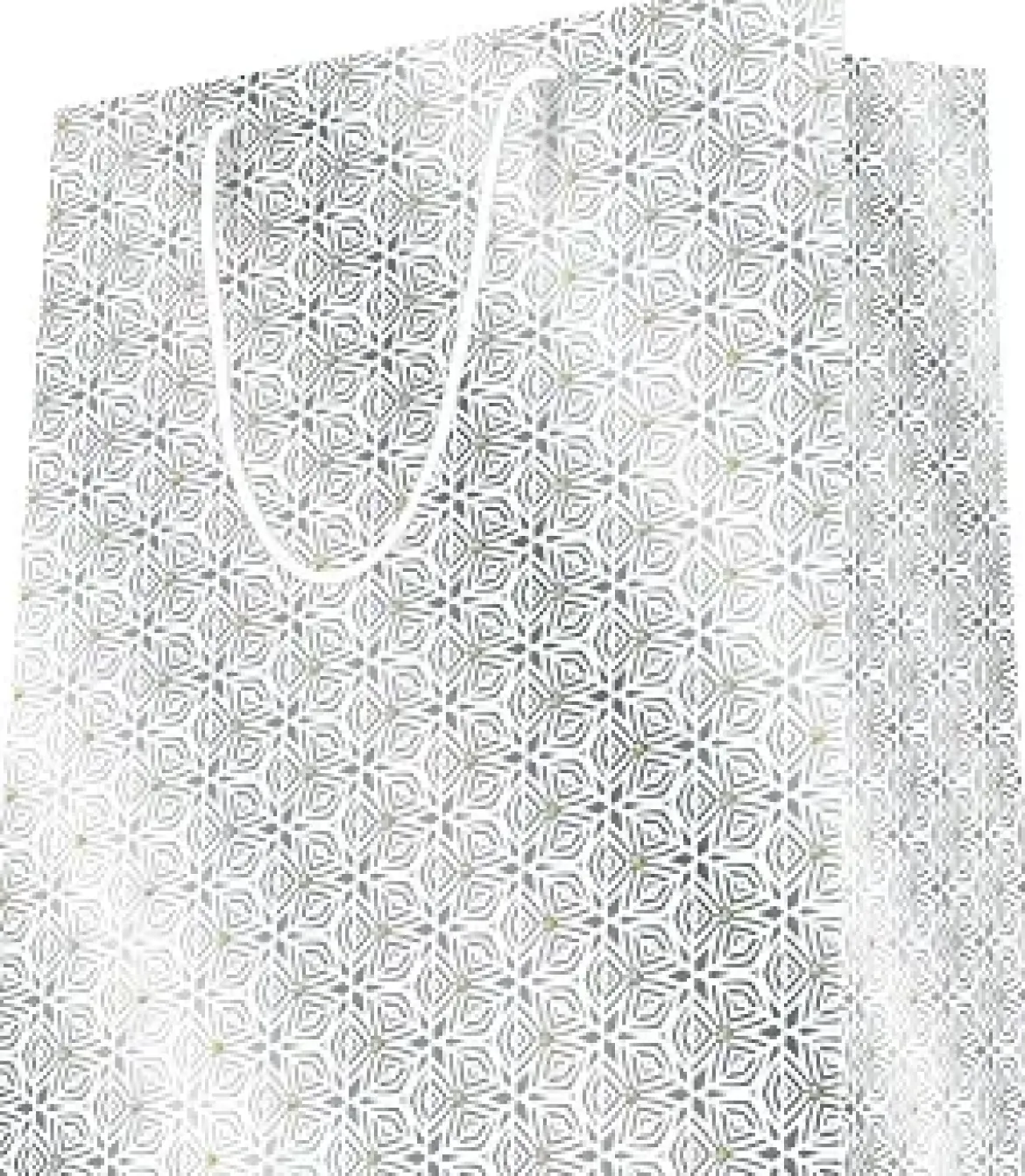 SAC KDO PORTRAIT METALLISE 2020 MF 26X32CM