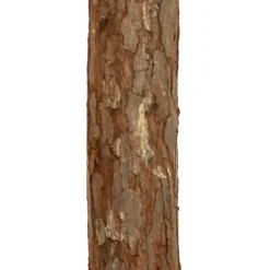 SAPIN NORDSTAR H.150CM