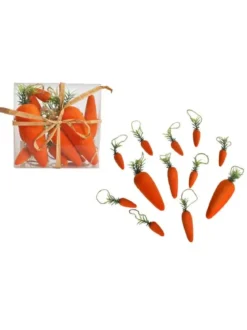 SET 12 CAROTTES