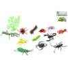 SET 13 INSECTES