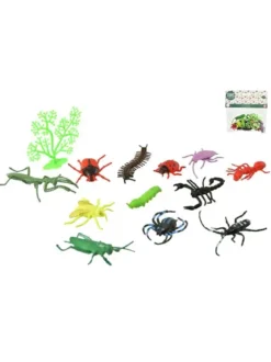 SET 13 INSECTES