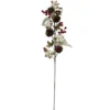 TIGE COTON POMMES PIN BAIES H.68CM