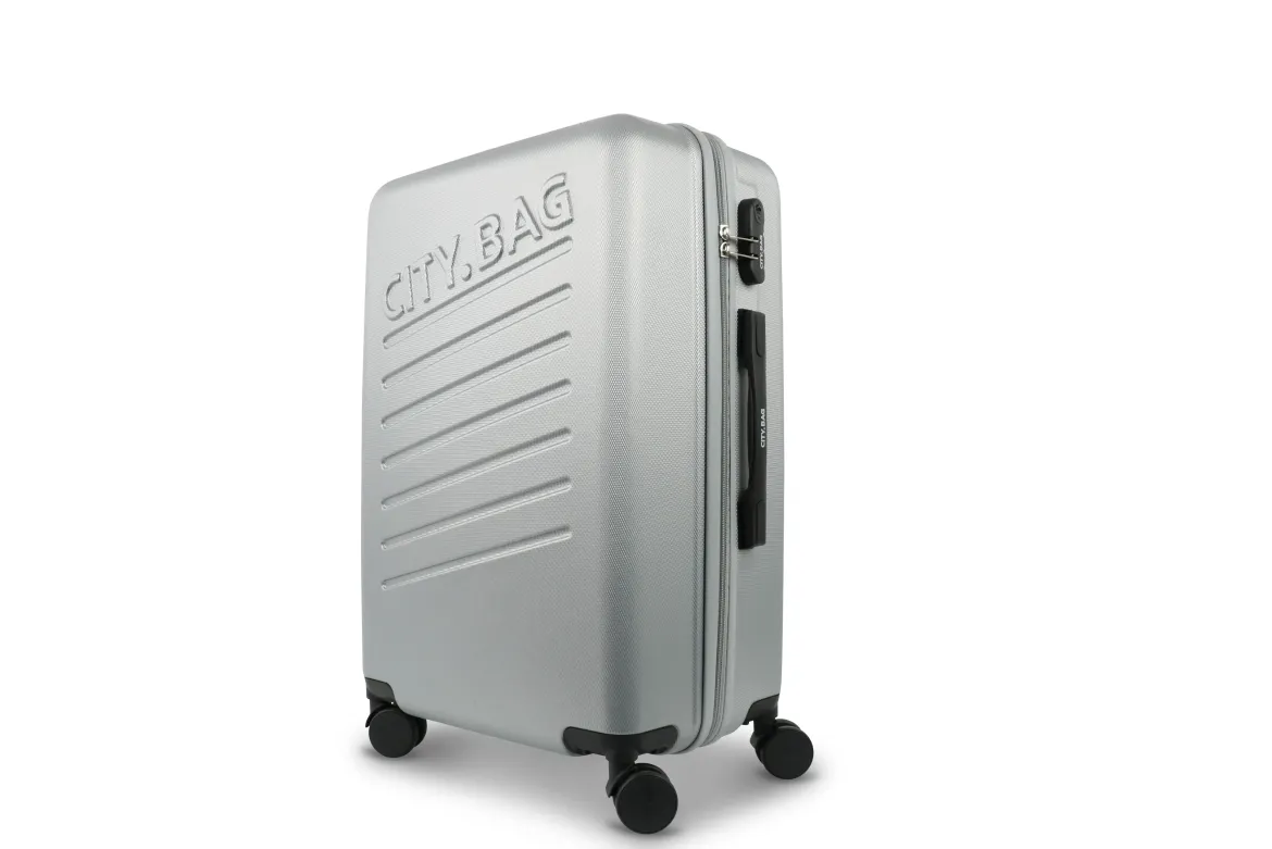 VALISE CITY BAG SYDNEY COLORIS ARGENTE 41X60X25CM