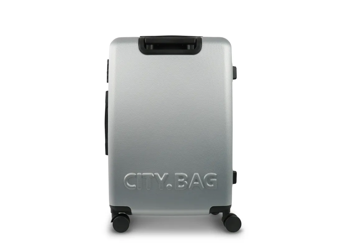 VALISE CITY BAG SYDNEY COLORIS ARGENTE 41X60X25CM